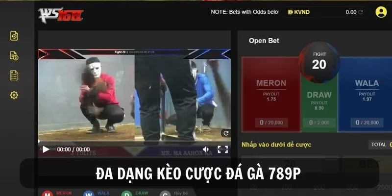 Các hình thức vào kèo chọi gà tại 789P