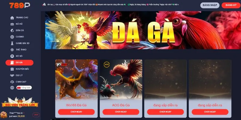 Giới thiệu sân chơi đá gà 789P cực chất